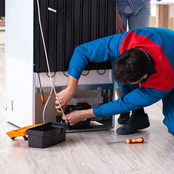 how long does it usually take to repair a refrigerator in Raisin